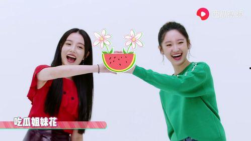 宣仪吃瓜爆料视频大全最新,揭秘娱乐圈幕后真相 第3张 宣仪吃瓜爆料视频大全最新,揭秘娱乐圈幕后真相 第3张