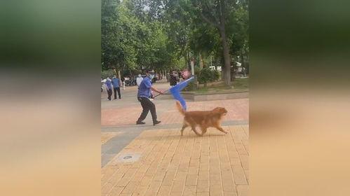 遛狗不拴绳爆料视频播放,网络曝光引发社会热议