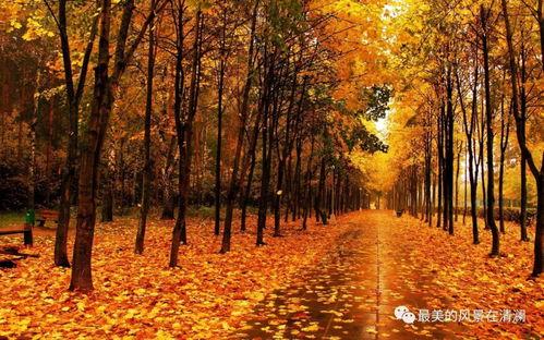 秋天妈妈最新视频爆料大全,精彩瞬间大盘点 第2张 秋天妈妈最新视频爆料大全,精彩瞬间大盘点 第2张